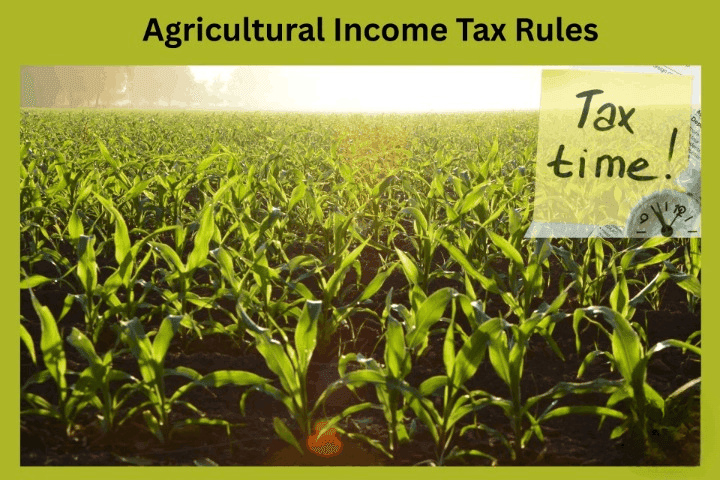 Agriculture Income Tax 2025
