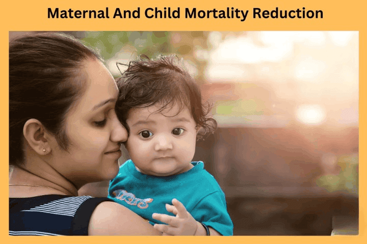 Maternal Mortality Rate