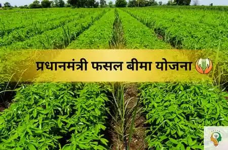 PM Fasal Bima Yojana