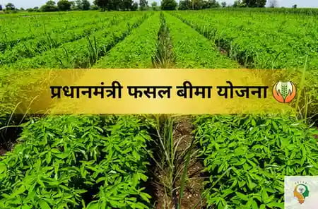 PM Fasal Bima Yojana