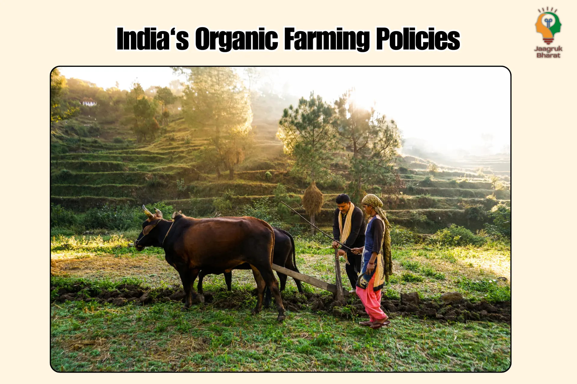 Indian Organic Farming Policies