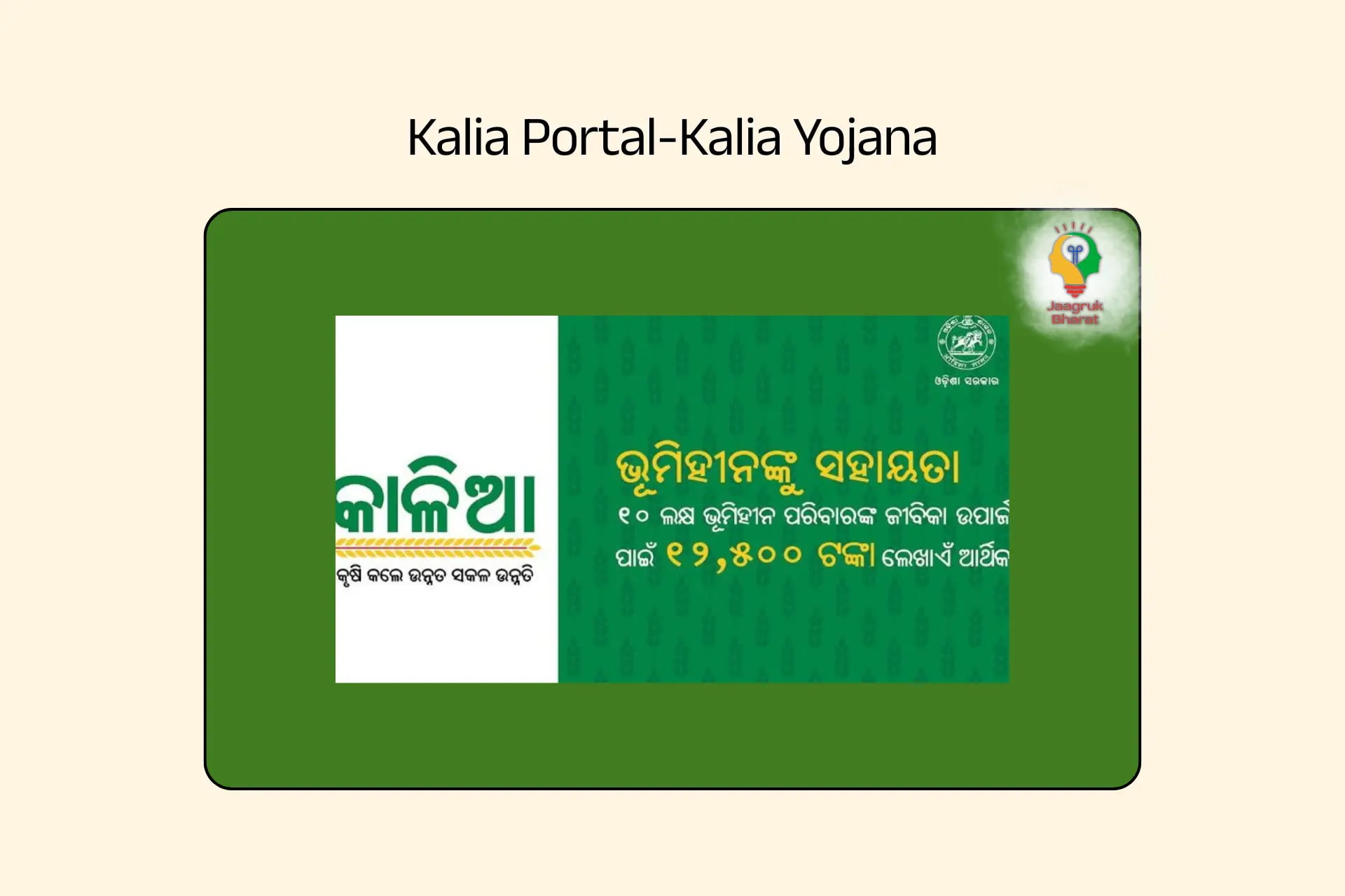 Kalia Portal Empowering Farmers in Odisha