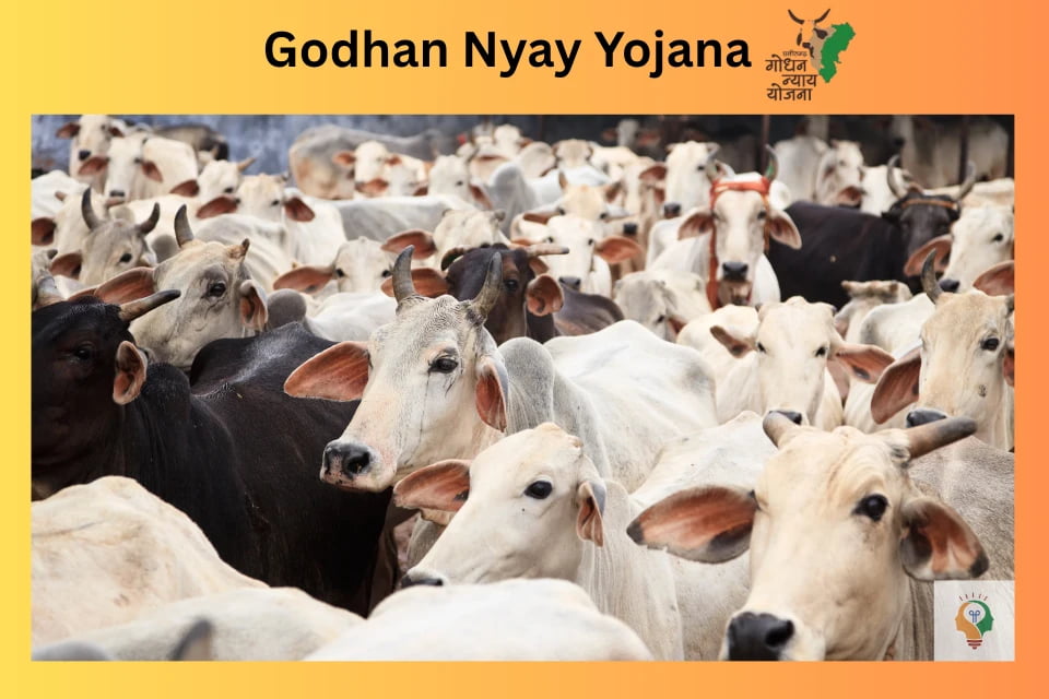 Godhan Nyay Yojana