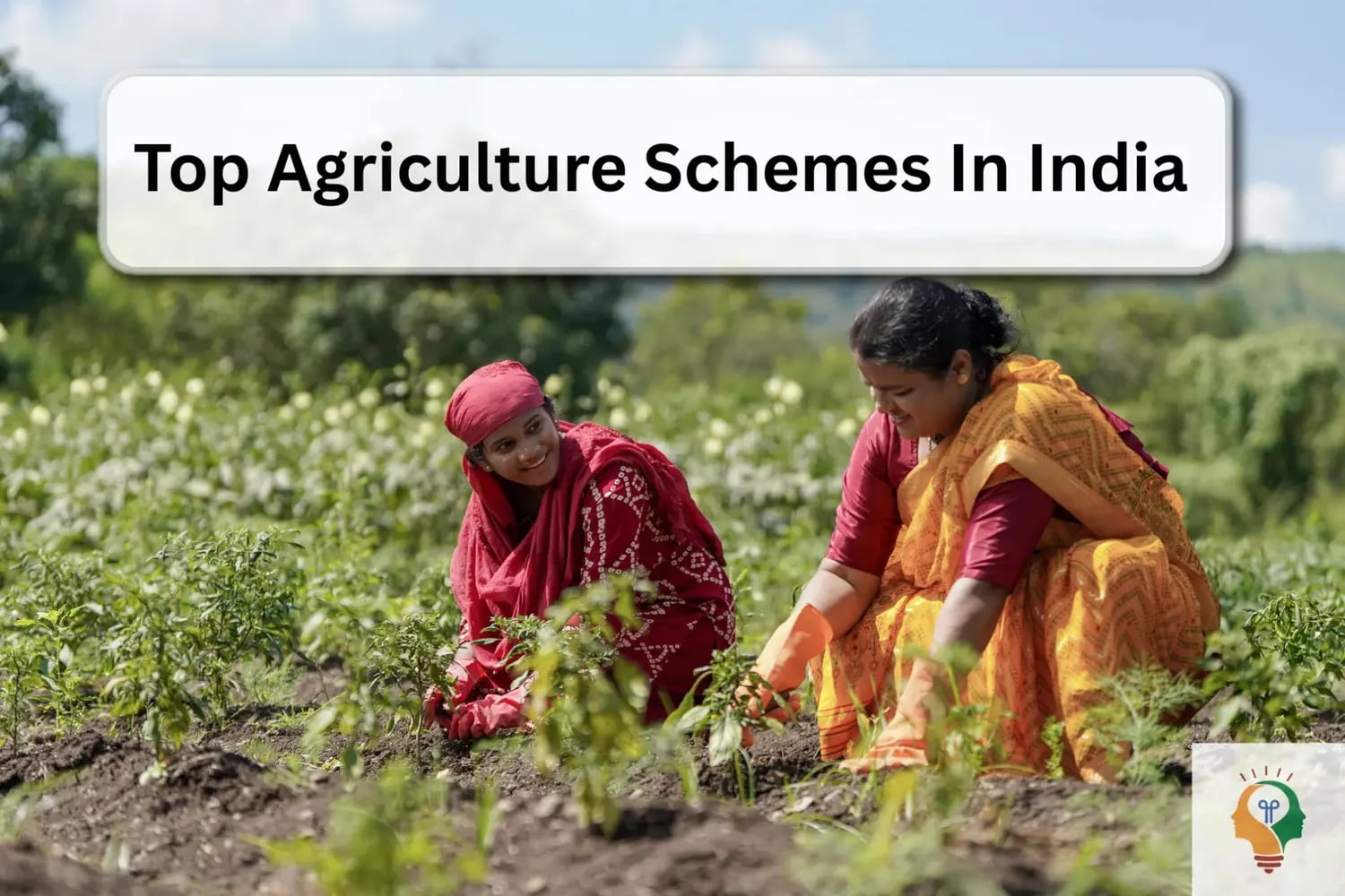 Farmer Scheme