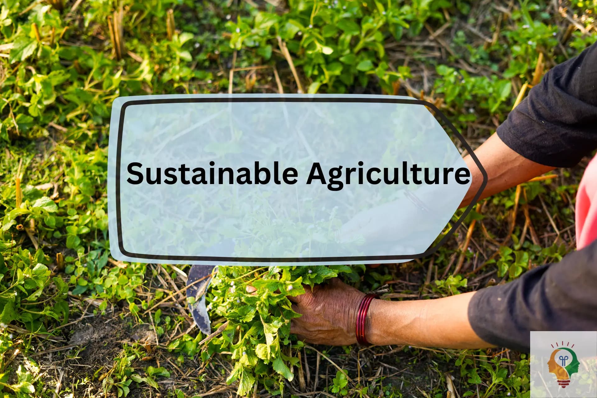 Sustainable Farming
