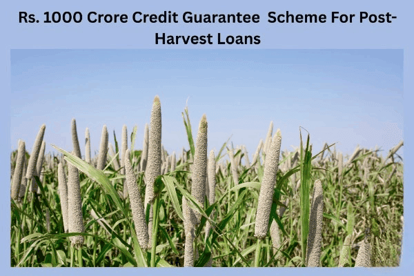 Rs 1000 Crore Guarantee Scheme