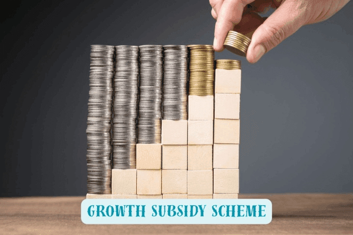 Subsidy Scheme