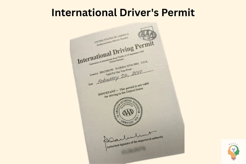 International Driving Permit