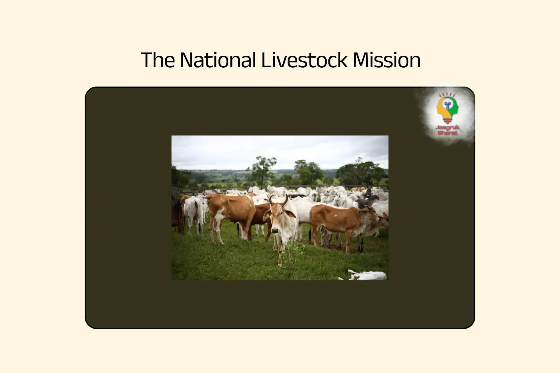 National Livestock Mission