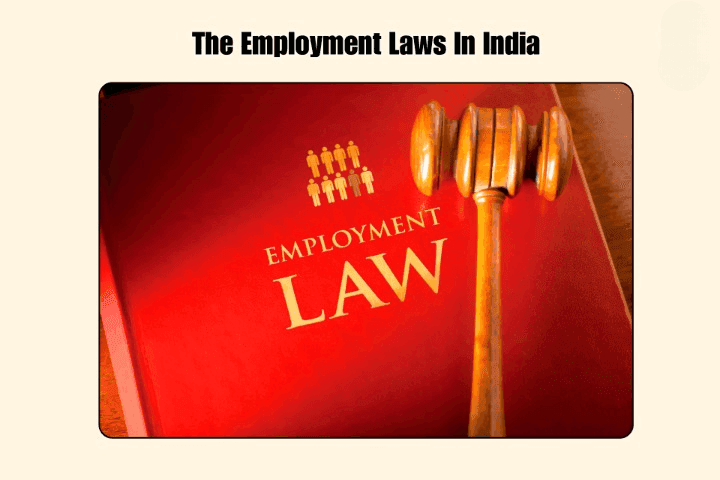 Employment Laws
