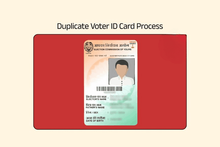 Plastic Voter ID Card