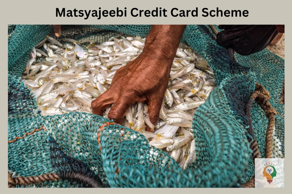 Matsyajeebi Credit Card scheme