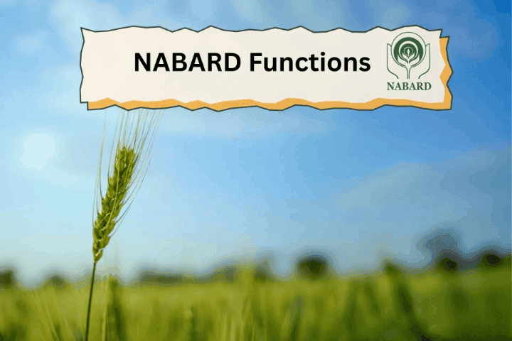 NABARD Role