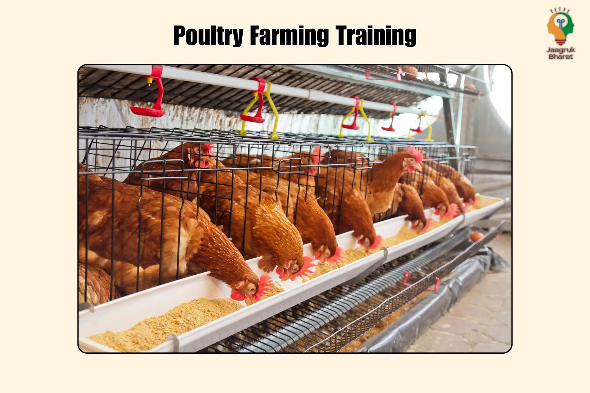 Popularity Farming Training