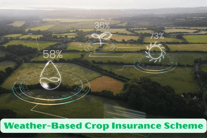 Crop Insurance Scheme