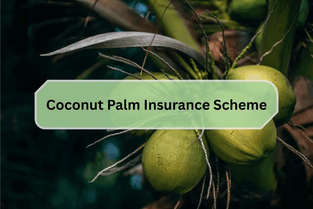 Coconut Palm Insurance Scheme