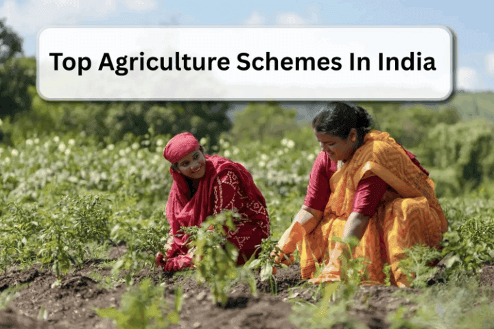 Farmer Scheme
