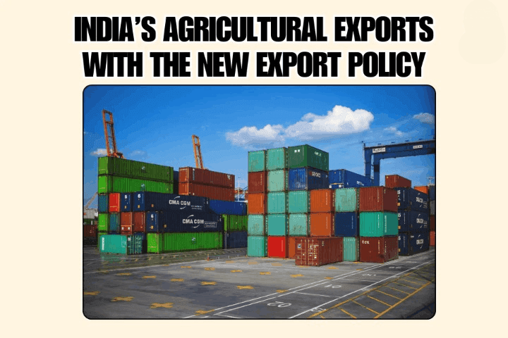 Agriculture Export Scheme