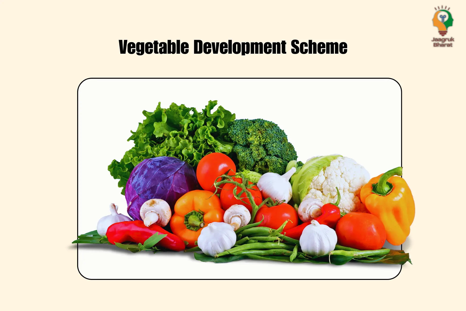 Vegetable Development Scheme