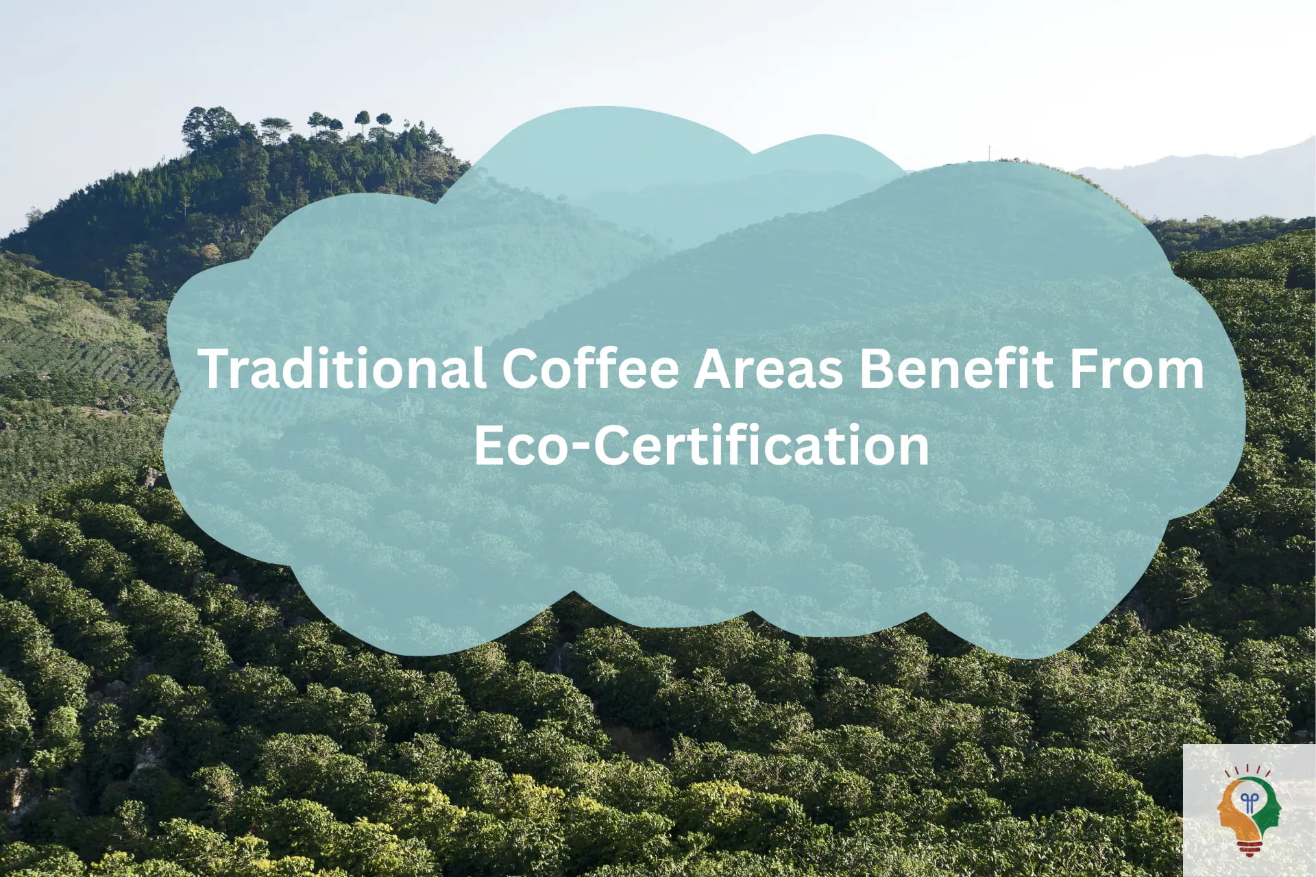 Traditional Coffee Areas Benefits