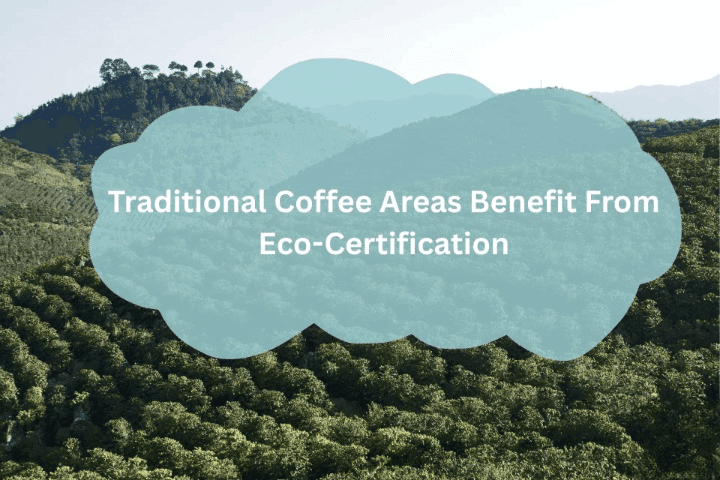 Traditional Coffee Areas Benefits