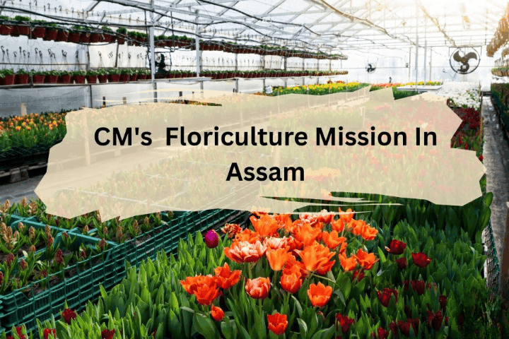 CM Floriculture Mission