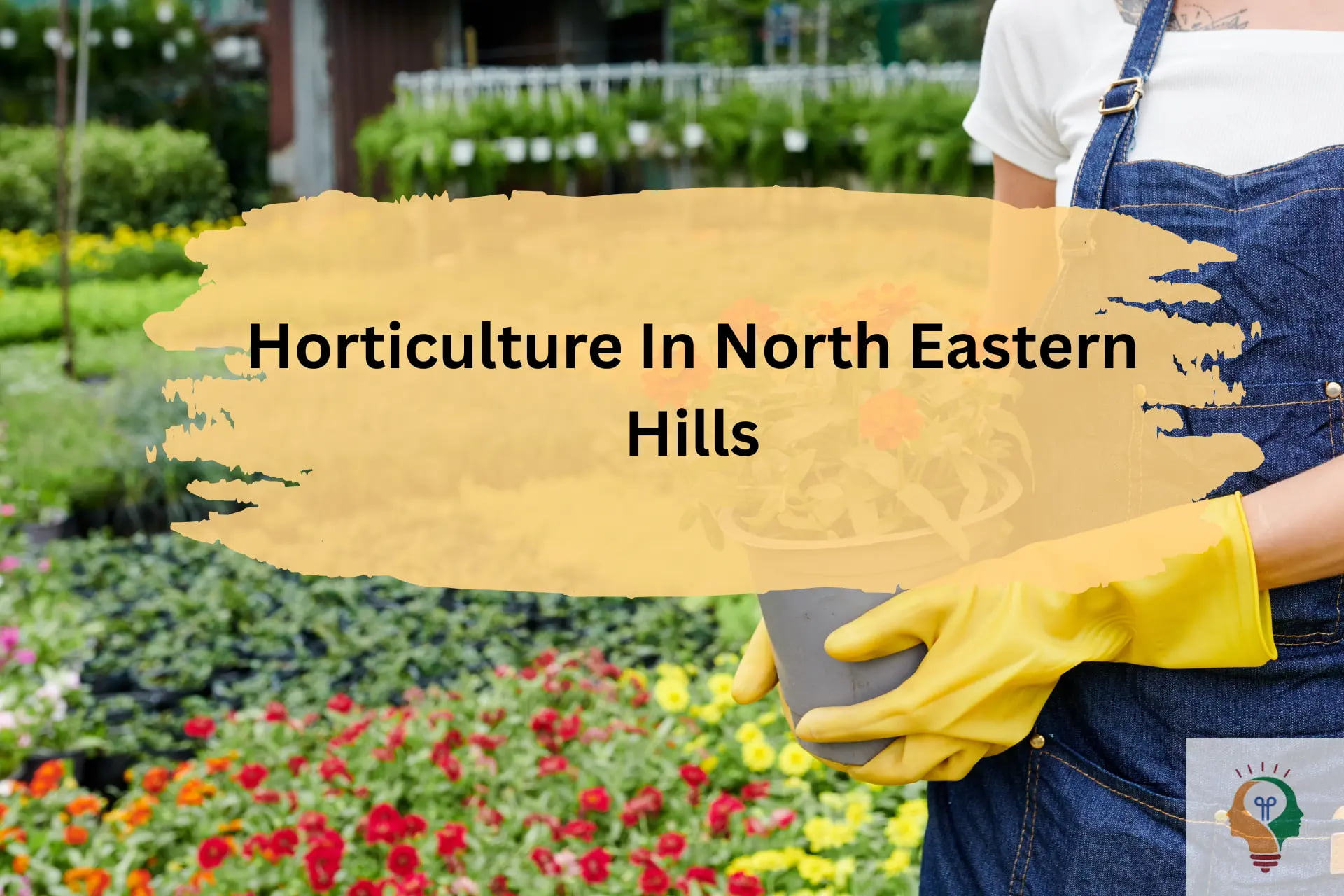 Horticulture Mission