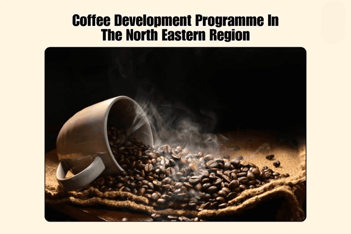 Coffee Development Program