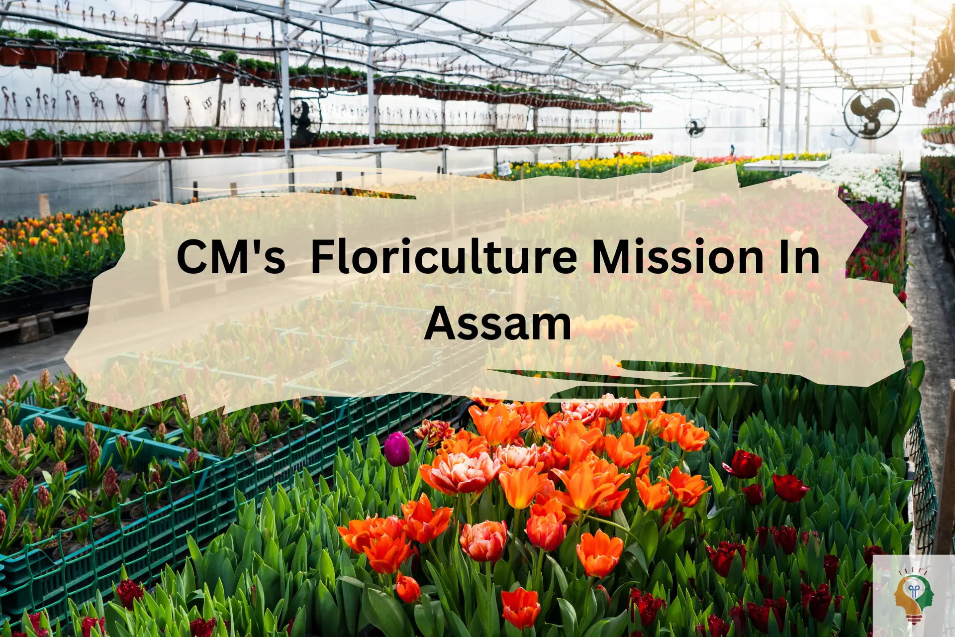 CM Floriculture Mission