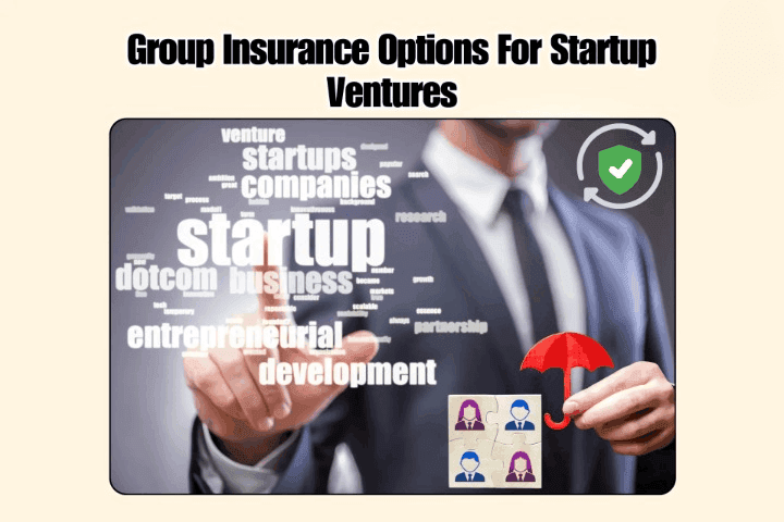 Insurance For Startup