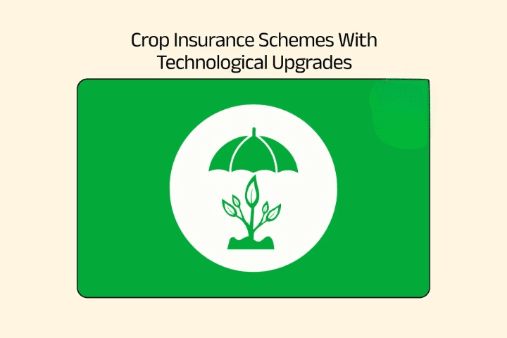 Crop Insurance Schemes