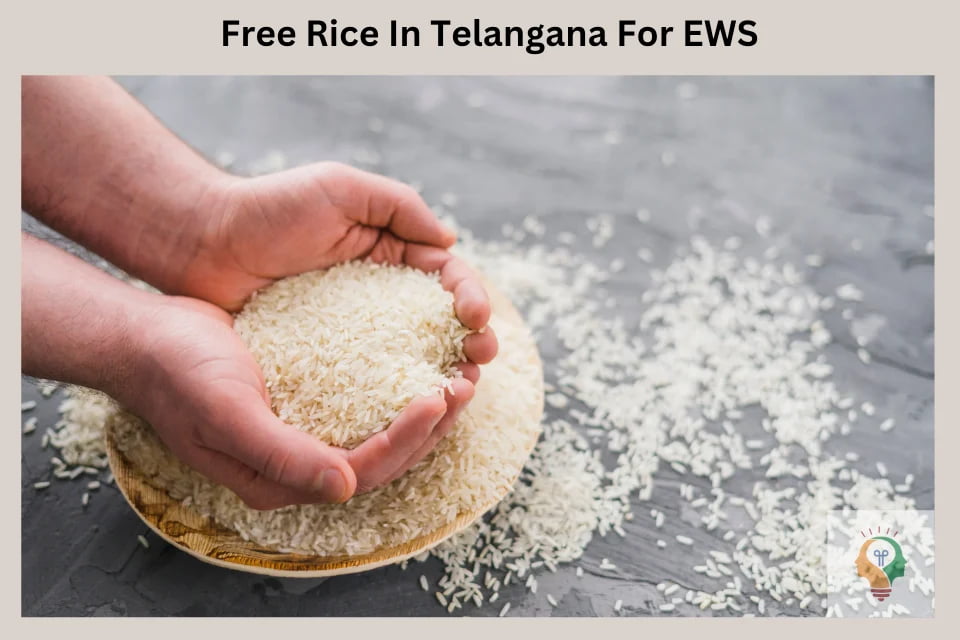 Free Rice Distribution For Ration Card Holders