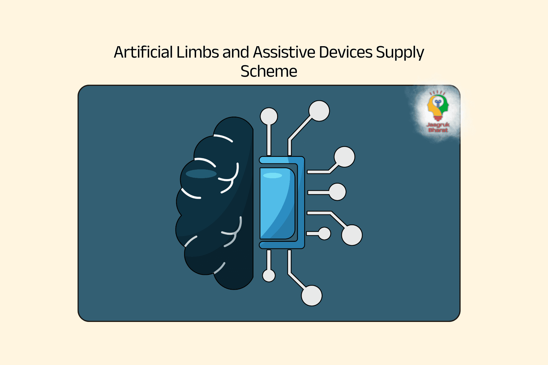 Artificial Limbs and Assistive Devices Supply Scheme